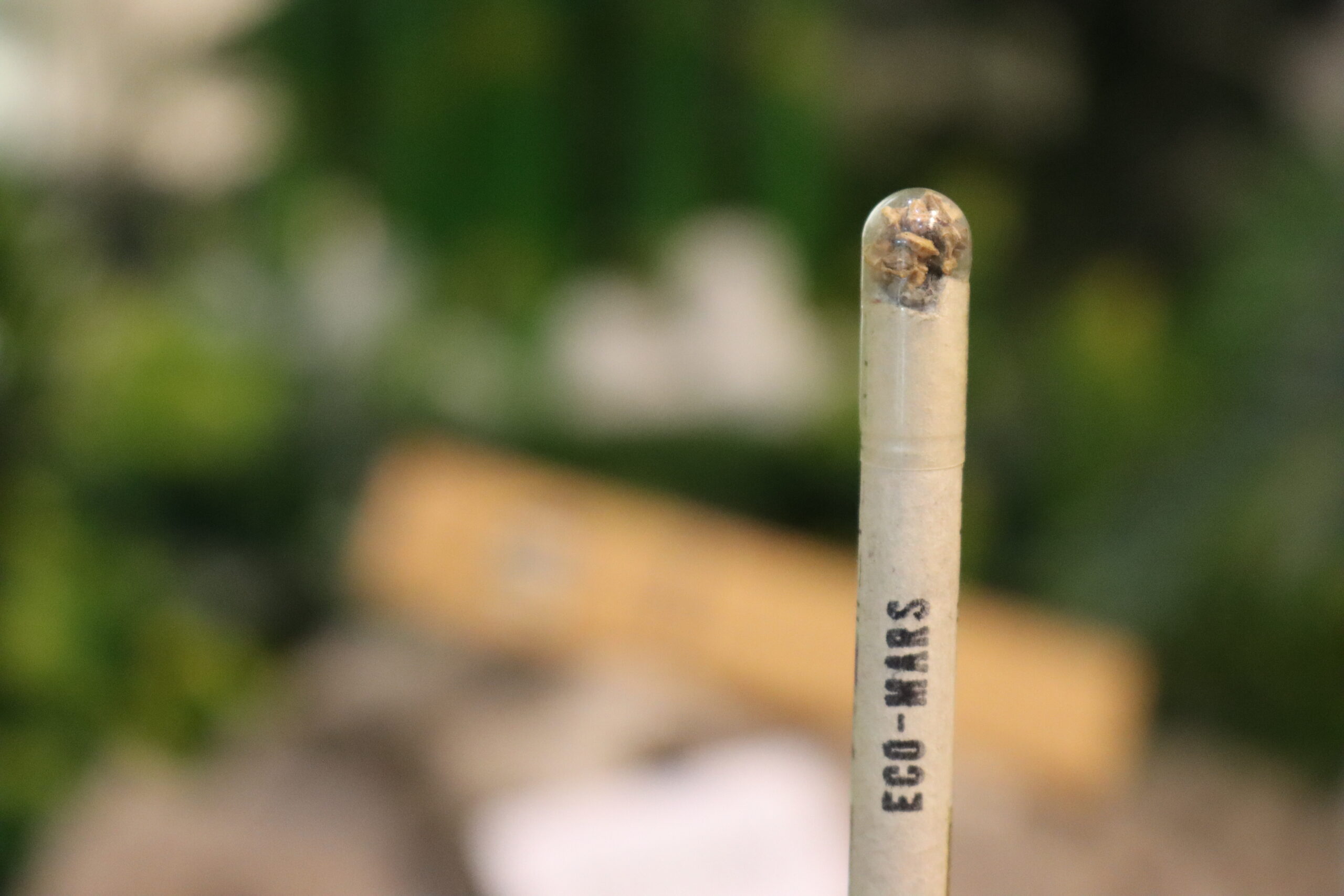 Eco Pencils